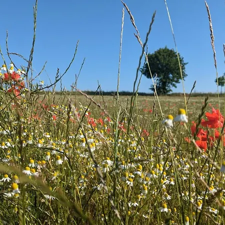 Haus Sturmfried - Sturmwaechter アパート インゼル・ペール