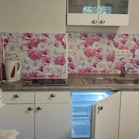 Haus Sturmfried - Sturmwaechter アパート *