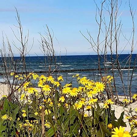 Haus Sturmfried - Sturmwaechter