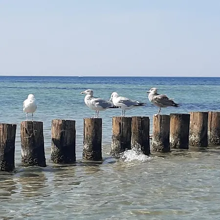 アパート Haus Sturmfried - Sturmwaechter