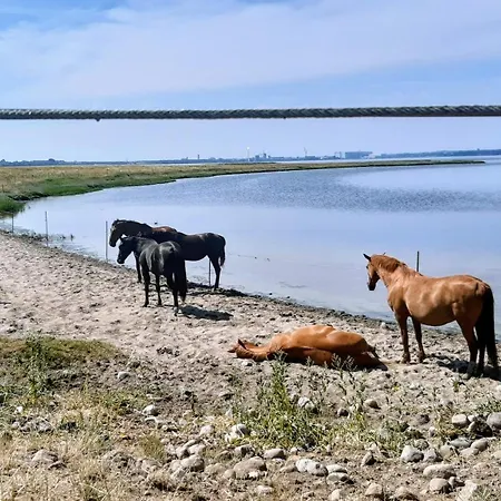 Haus Sturmfried - Sturmwaechter *
