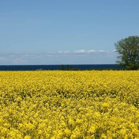 Haus Sturmfried - Sturmwaechter アパート *