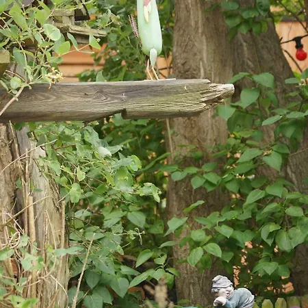 Haus Sturmfried - Sturmwaechter アパート インゼル・ペール