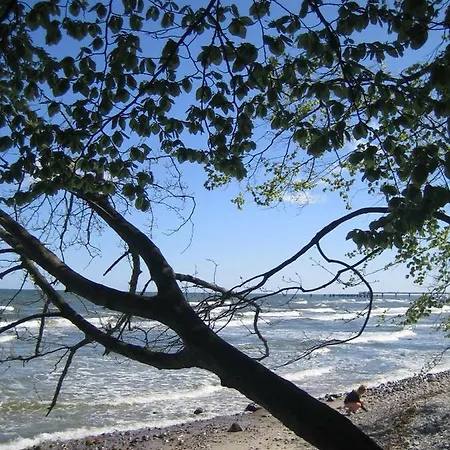 Haus Sturmfried - Sturmwaechter アパート *