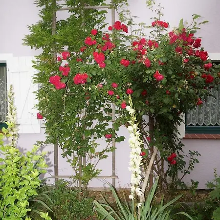 Haus Sturmfried - Sturmwaechter アパート インゼル・ペール