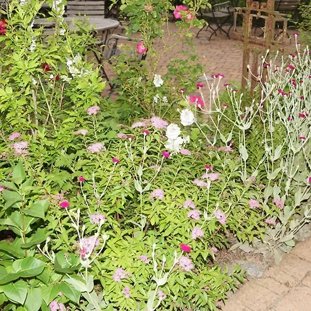 アパート Haus Sturmfried - Sturmwaechter