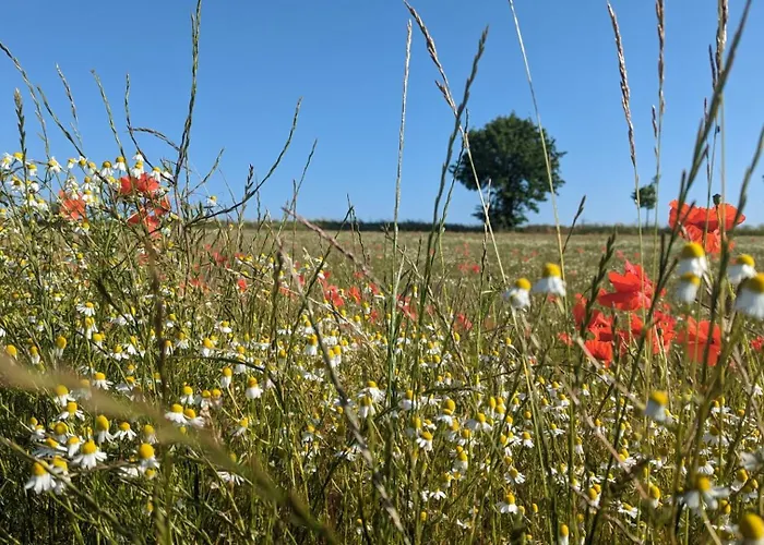 Haus Sturmfried - Sturmwaechter Lejlighed Poel