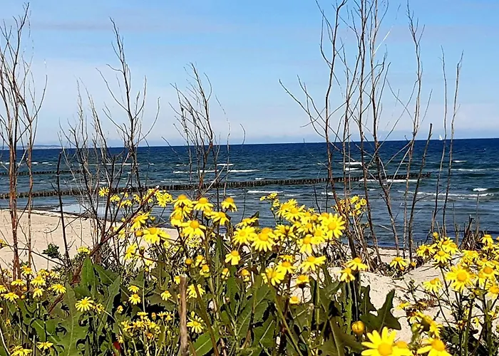 Haus Sturmfried - Sturmwaechter