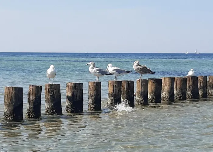 Lejlighed Haus Sturmfried - Sturmwaechter