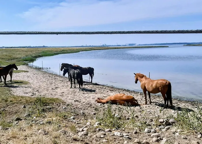 Haus Sturmfried - Sturmwaechter *