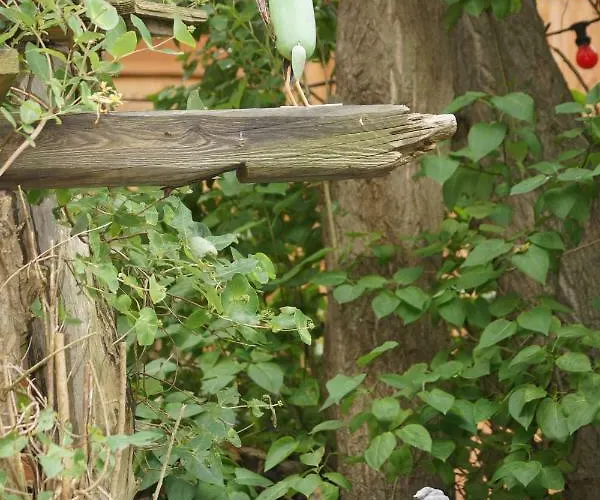 Haus Sturmfried - Sturmwaechter Lejlighed Poel