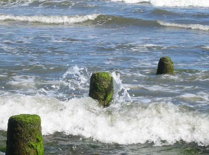 Lejlighed Haus Sturmfried - Sturmwaechter Poel